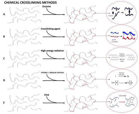 Polymers | Free Full-Text | Novel Trends in Hydrogel Development for ...