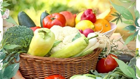Bio-Lebensmittel: Vitamin, Ballaststoffe und Mineralstoffe sind gesund ...