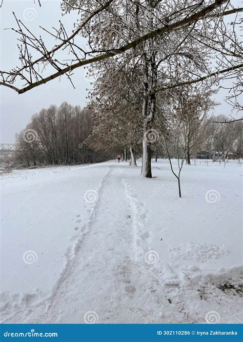 Naked Seasoned Man On Run In The Park Stock Photo Image Of Nature Health 302110286
