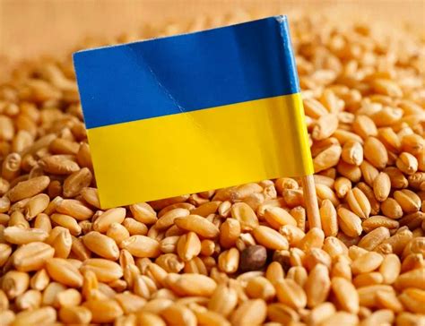 Pravdoliub Ivanov 🇧🇬 ️🏻🇺🇦 on Twitter: "Няколко цифри за зърното на ...