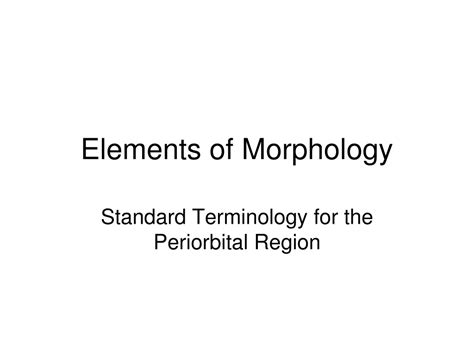 exploring morphology periorbital region characteristics