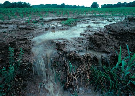 agricultural runoff runoff  nutrients  farm fields  flickr