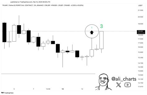 Is Trump Coin Price Following XRP’s Movement? Lawyer Fuels Speculation