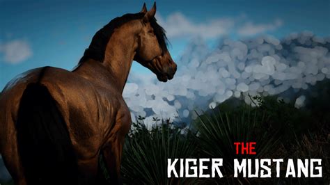 Kiger Mustang