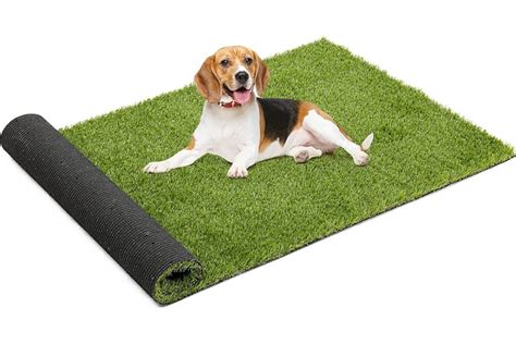 14 Superior Turf Rug For 2023 Citizenside