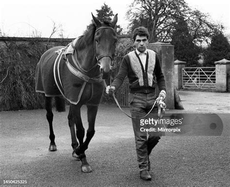 66 Arkle Racehorse Stock Photos, High-Res Pictures, and Images - Getty ...