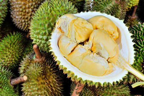 Berikut Beberapa Gambar Durian
