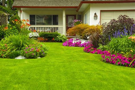 The Ultimate Guide to Cape Cod Yard Design | ShrubHub