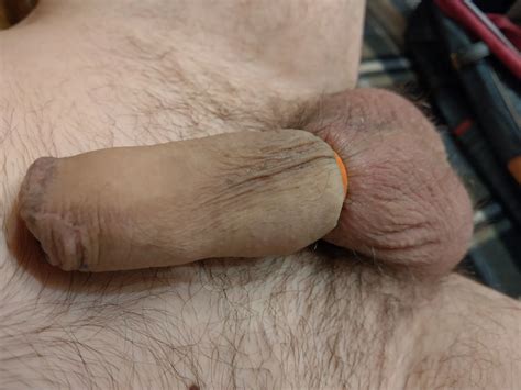 Flaccid Cock Banded Nude Pics XHamster