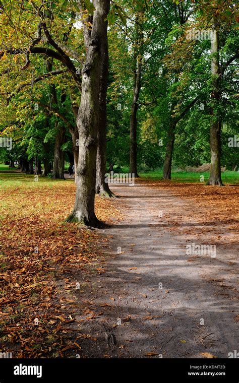 Morden Hall Park Autumn Stock Photo Alamy