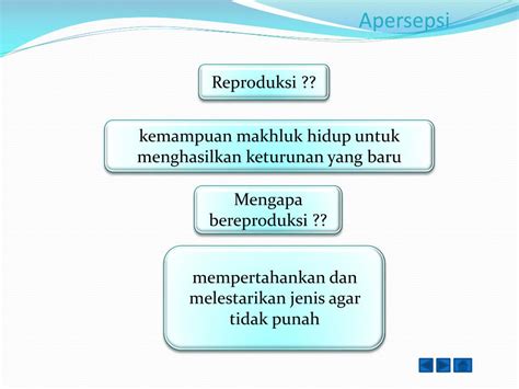 Ppt Bahan Ajar Sistem Reproduksi Manusia Powerpoint Presentation Free Download Id 2343386