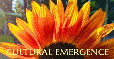 Cultural Emergence Online Community Cultural Emergence