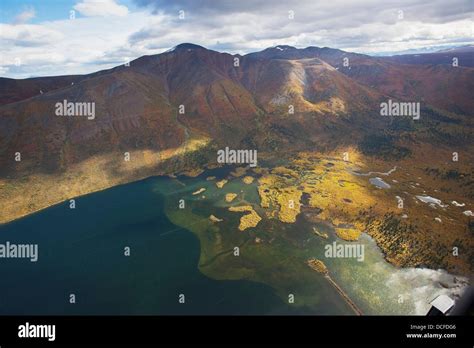 canada fish plant  res stock photography  images alamy