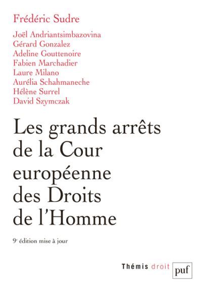 Les grands arrêts de la Cour européenne des droits de l homme broché