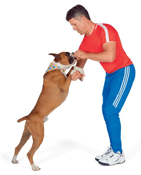 Fit-tionary (Canine Fitness Dictionary) – Do More With Your Dog!