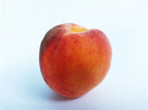 Peach Free Stock Photo Public Domain Pictures