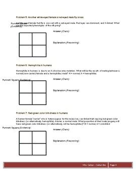 Sex Linked X Linked Traits WebQuest By Callan Bio TPT