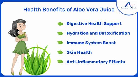 incorporating aloe vera juice   diet benefits tips