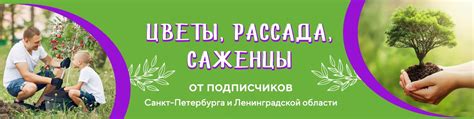 Цветы, рассада, саженцы от подписчиков СПб и ЛО | Добро пожаловать в ...