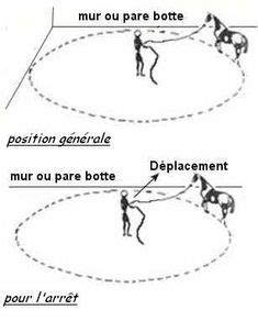 240 idées de Equitation technique | equitation, cheval, cours equitation