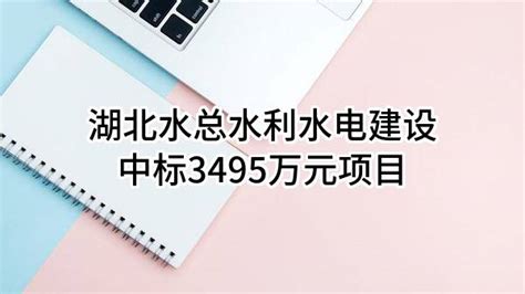 湖北水总水利水电建设股份有限公司中标3495万元项目