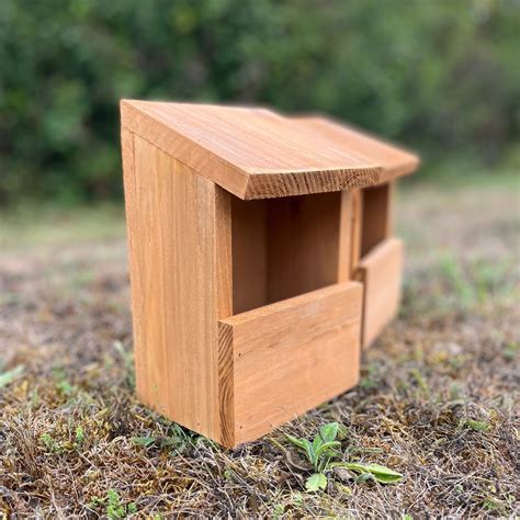 Robin Nest Box