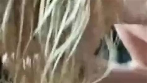 Homeless Hooker Raw Blowjob And Cum In Mouth Public Nudity Porn XHamster