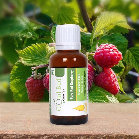 Pure Red Raspberry Seed Oil Rubus Idaeus Grelly UK