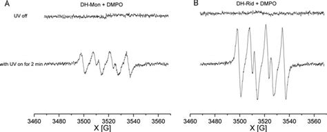 Generation of superoxide radical anion radicals from photoirradiation... | Download Scientific ...