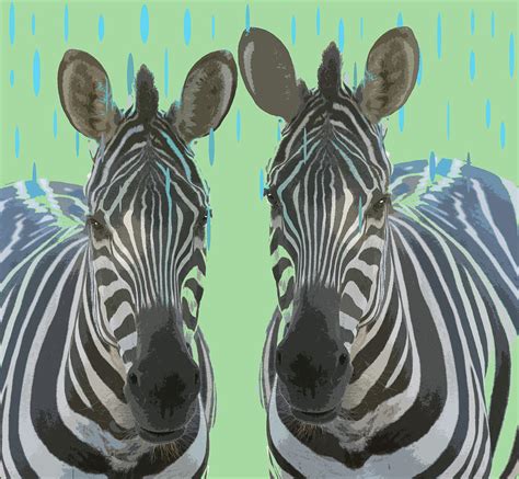 Zebras In The Rain Photograph By Susan Newcomb Fine Art America