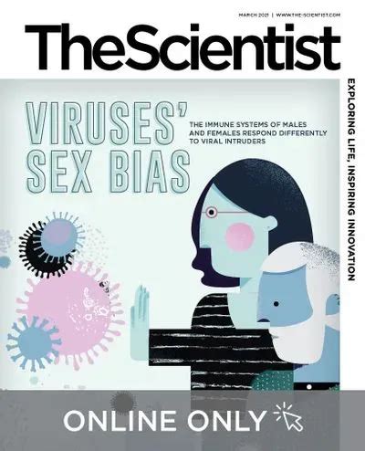 Sex Differences In Immune Responses To Viral Infection The Scientist
