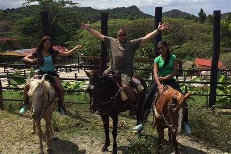 Amber Cove Excursion Horseback Ride And Tropical Garden Tour Triphobo