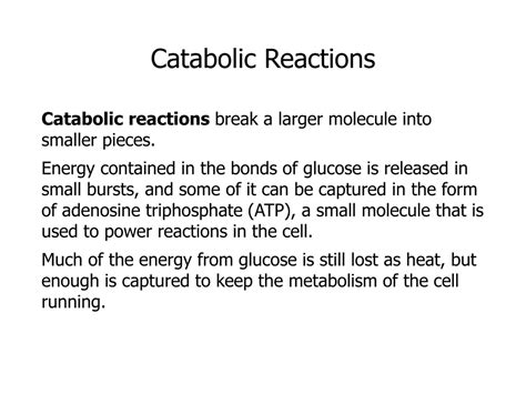PPT - Metabolic Pathways and Redox Reactions in Cell Biology PowerPoint