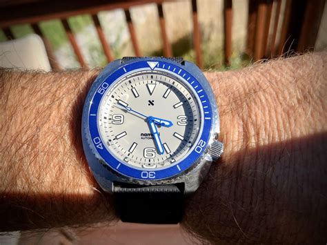 Wts Custom Turtle Build Rwatchexchange