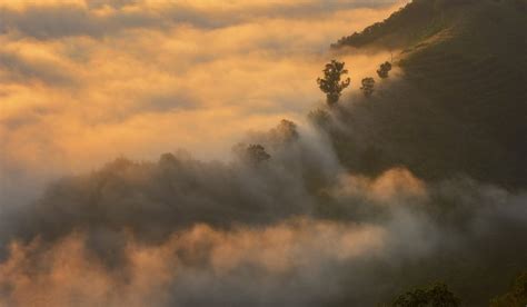 532181 Nature Landscape Mist Sunrise Valley Forest Mountain Terraces