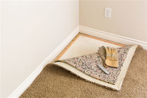 carpet padding buyers guide   choose   padding