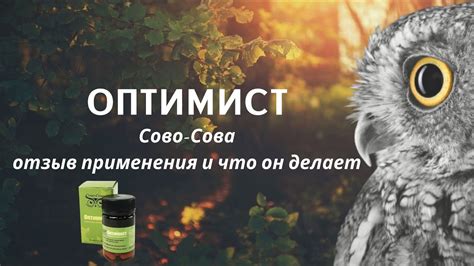 Оптимист компании Сово-Сова - YouTube