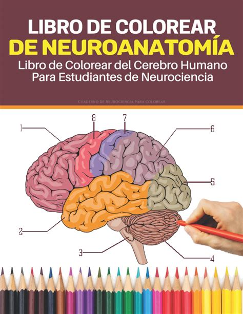 Cuaderno De Neurociencia Para Colorear Libro De Colorear De