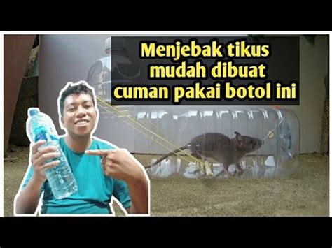 Cara Membuat Perangkap Tikus Dari Botol Bekas Air Mineral YouTube