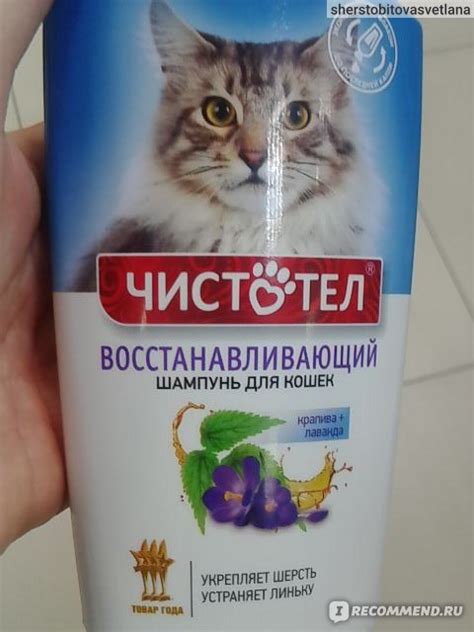 Шампунь Чистотел восстанавливающий - «Помогает с линькой» | отзывы