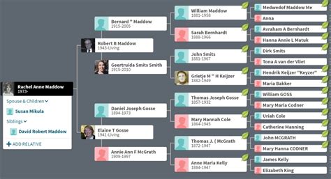 Rachel Maddow - Ethnicity of Celebs | EthniCelebs.com