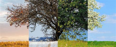 How to design a garden for all seasons - Richard Rogers Designs