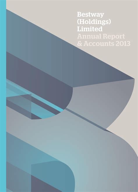 bestway holdings plc annual report  spinach branding issuu