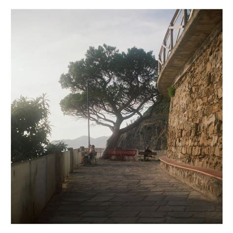 Meeting tree {Yashica MAT 124G, Ektar 100} : r/analog