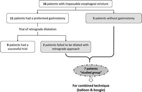 The Effectiveness Of Combined Balloon And Bougie Dilatation Technique