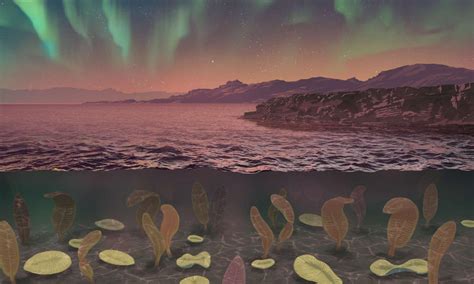 Would we exist if Earth's magnetic field hadn't collapsed 500m years ago?