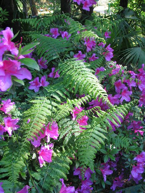 Сочи - Фото Дом Солнца. Фотография 4