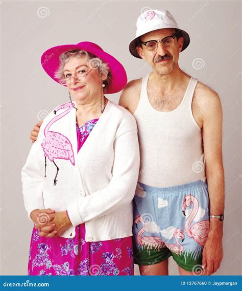 S-858-Flamingo Couple stock photo. Image of retired, pink - 12767660