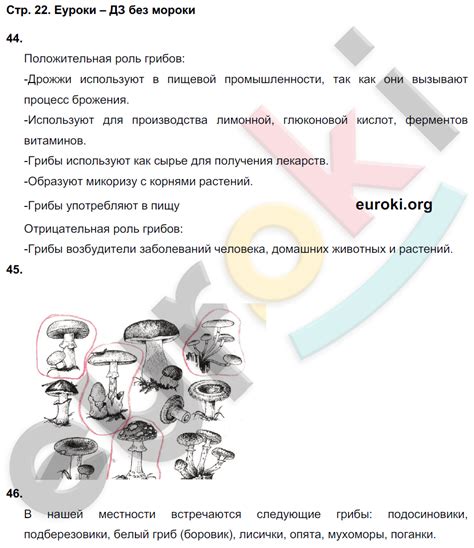 ГДЗ Номер стр. 22 Биология 7 класс Захаров. Синяя обложка Рабочая тетрадь