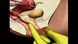 Sex Education Orgasm Training Video Xxx Mobile Porno Videos Movies